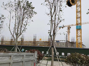 福建新区开发投资集团项目